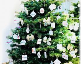 albero2018_2.jpg