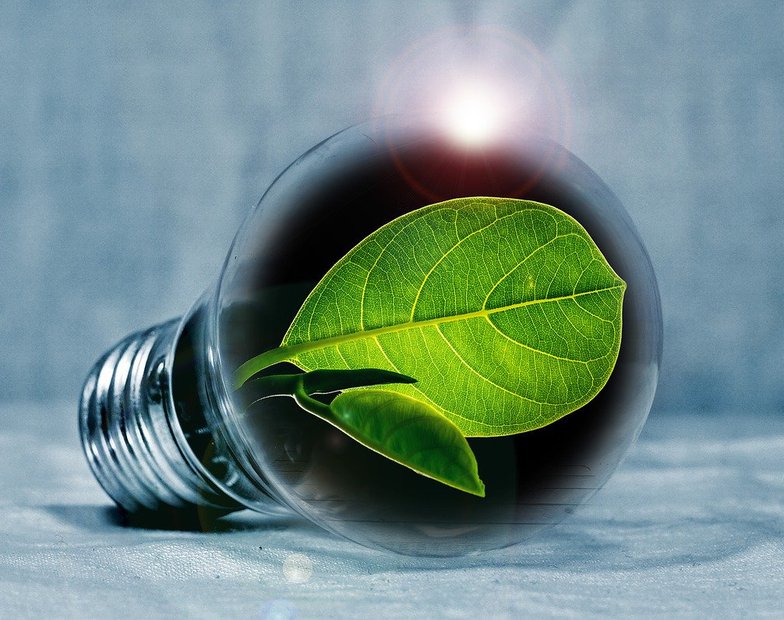 light-bulb-2631864_1280.jpg