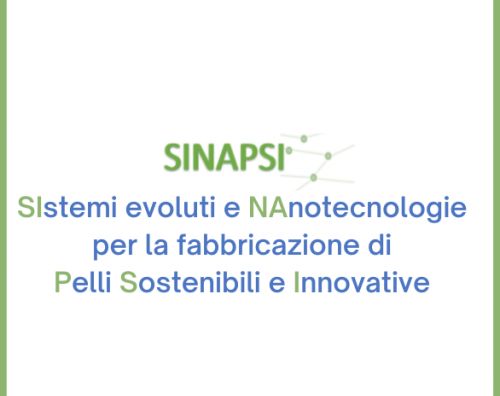 sistemi-evoluti-e-nanotecnologie-per-la-fabbricazione-di-pelli-sostenibili-e-innovative.png
