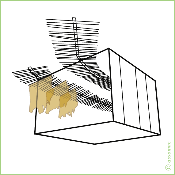 A02.04 - Drying tunnel with overhead chain