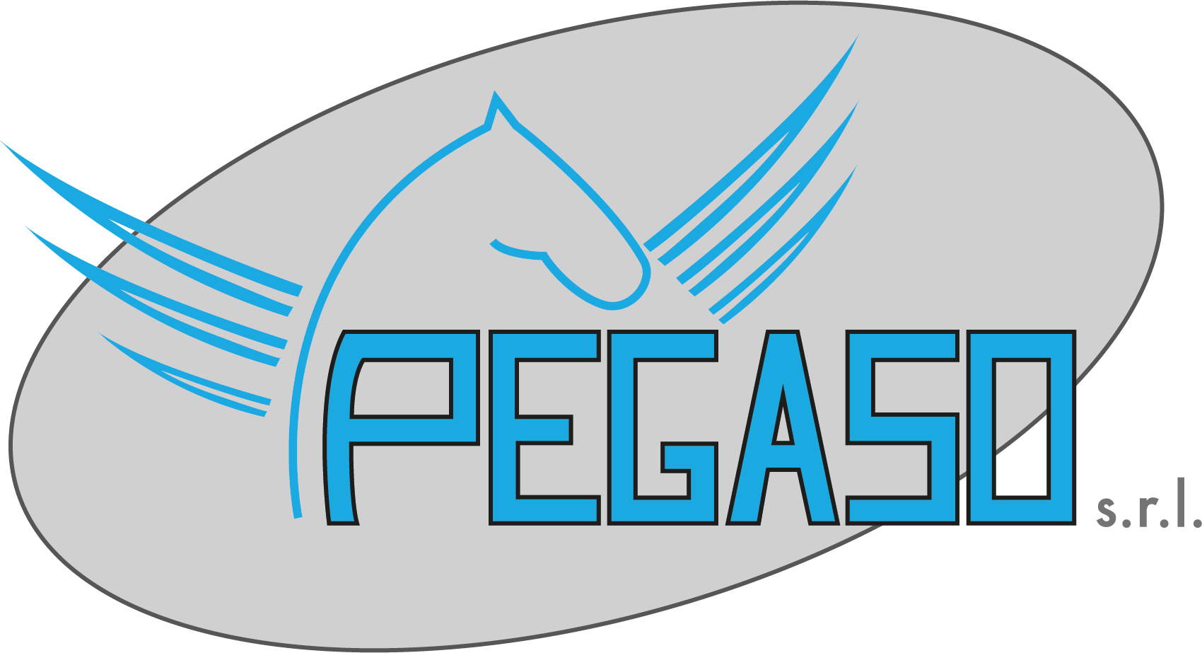 PEGASO SRL