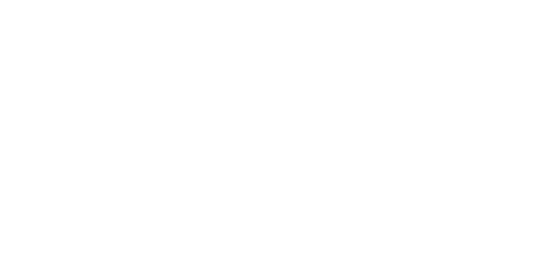 logo_stt_bianco.png